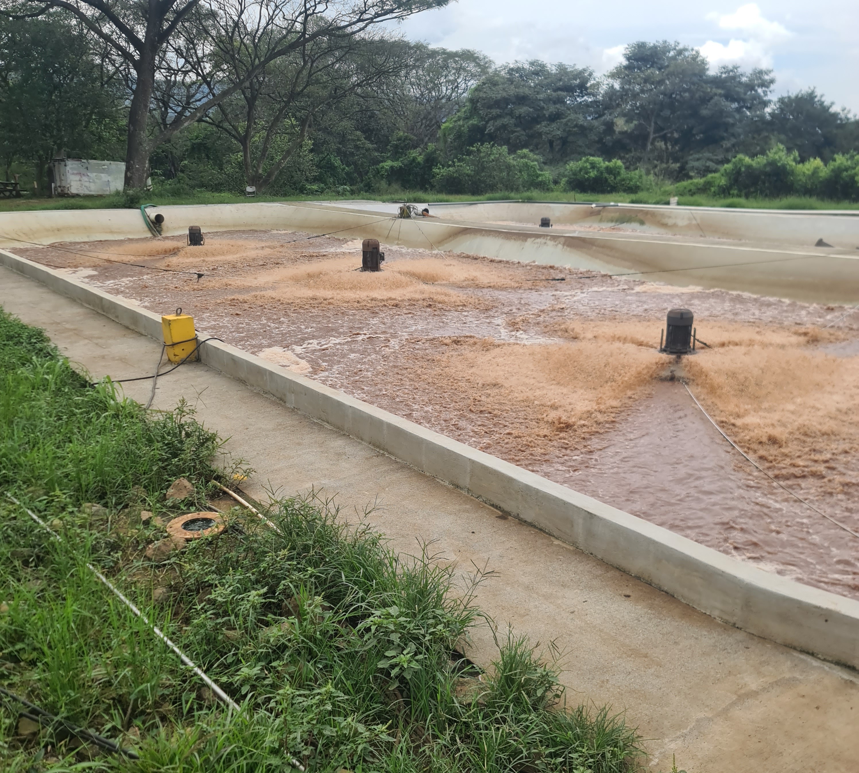 Laguna de oxidación vista general